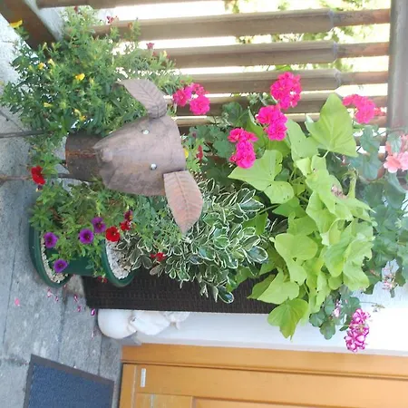 Angerhaus * Sankt Georgen ob Murau